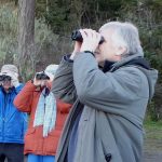 Skagit River Eagle Festival Tour birdwatchers