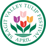 skagit valley tulips tour - festival