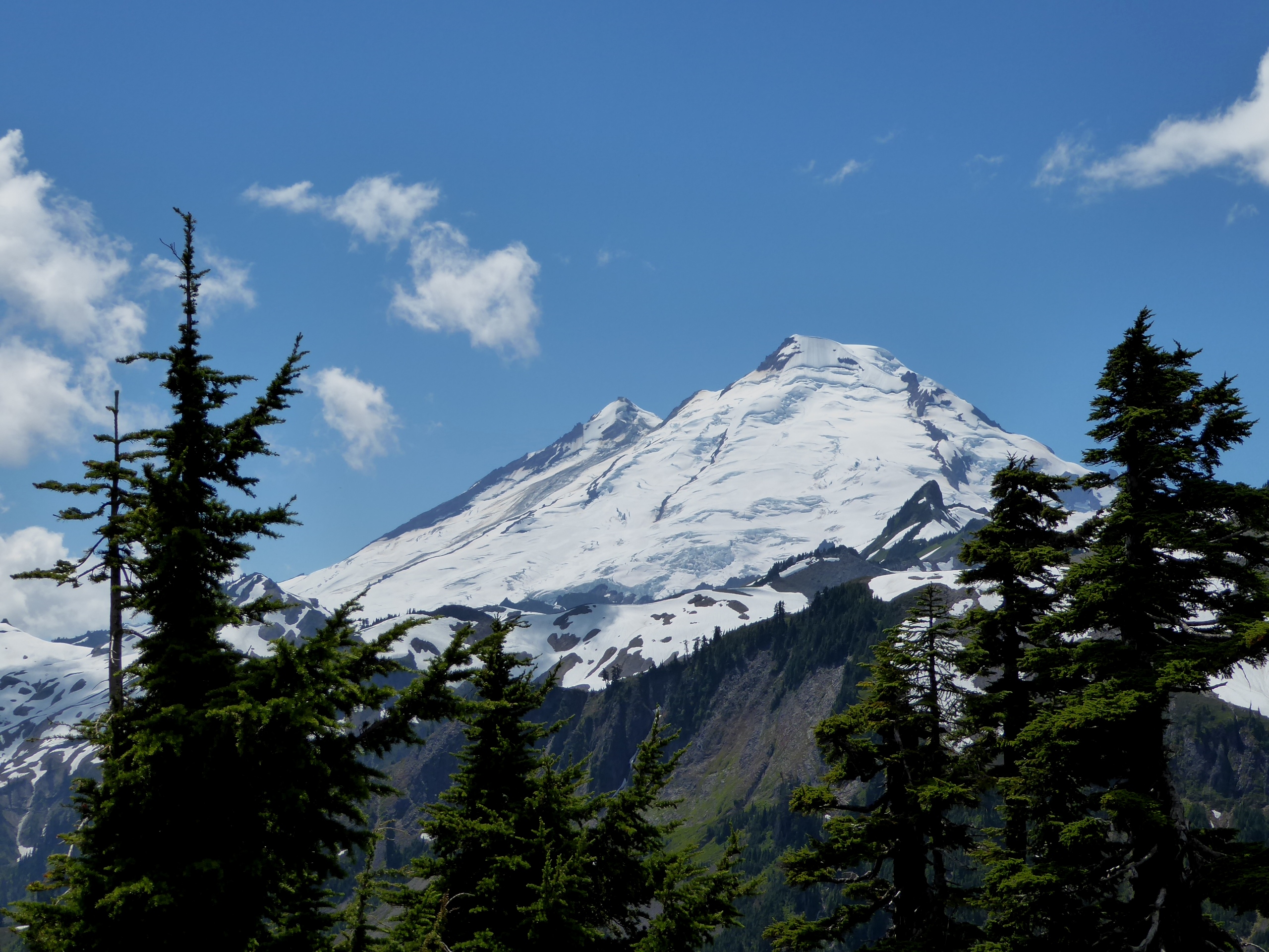 Mount Baker Day Tour Venture to the top of the North Cascades!