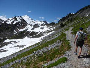 mt baker summer guided tour - chain lakes trail