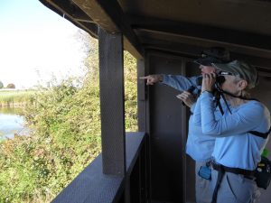 Skagit Birding Tour birdwatchers
