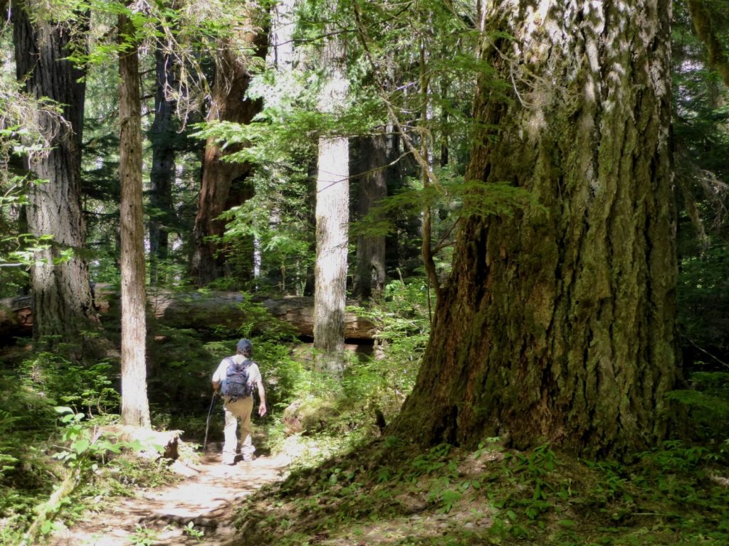 north cascades park tour hike