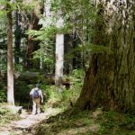 North Cascades National Park Day Tour Year - hiking the forest trail