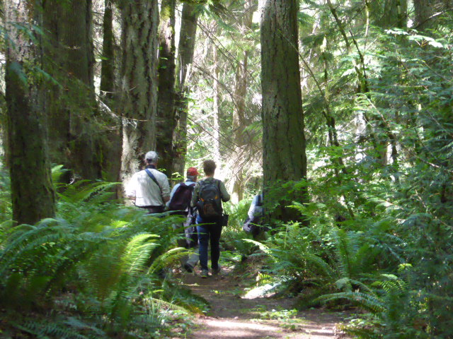 other san juan islands vendovi hiking