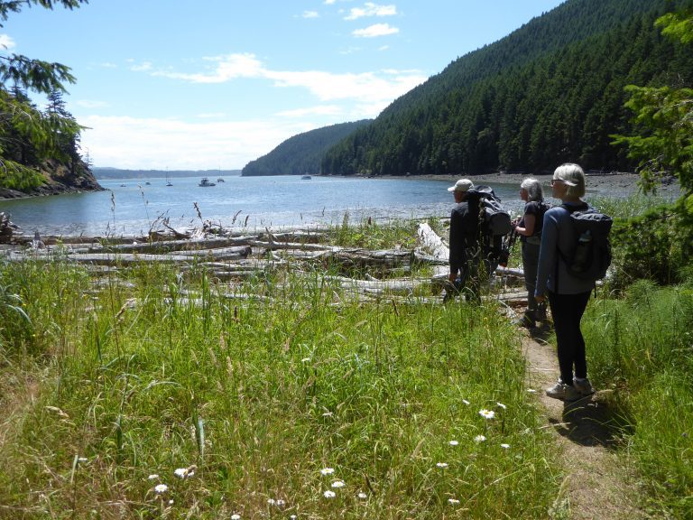 explore cypress vendovi islands san juans washington