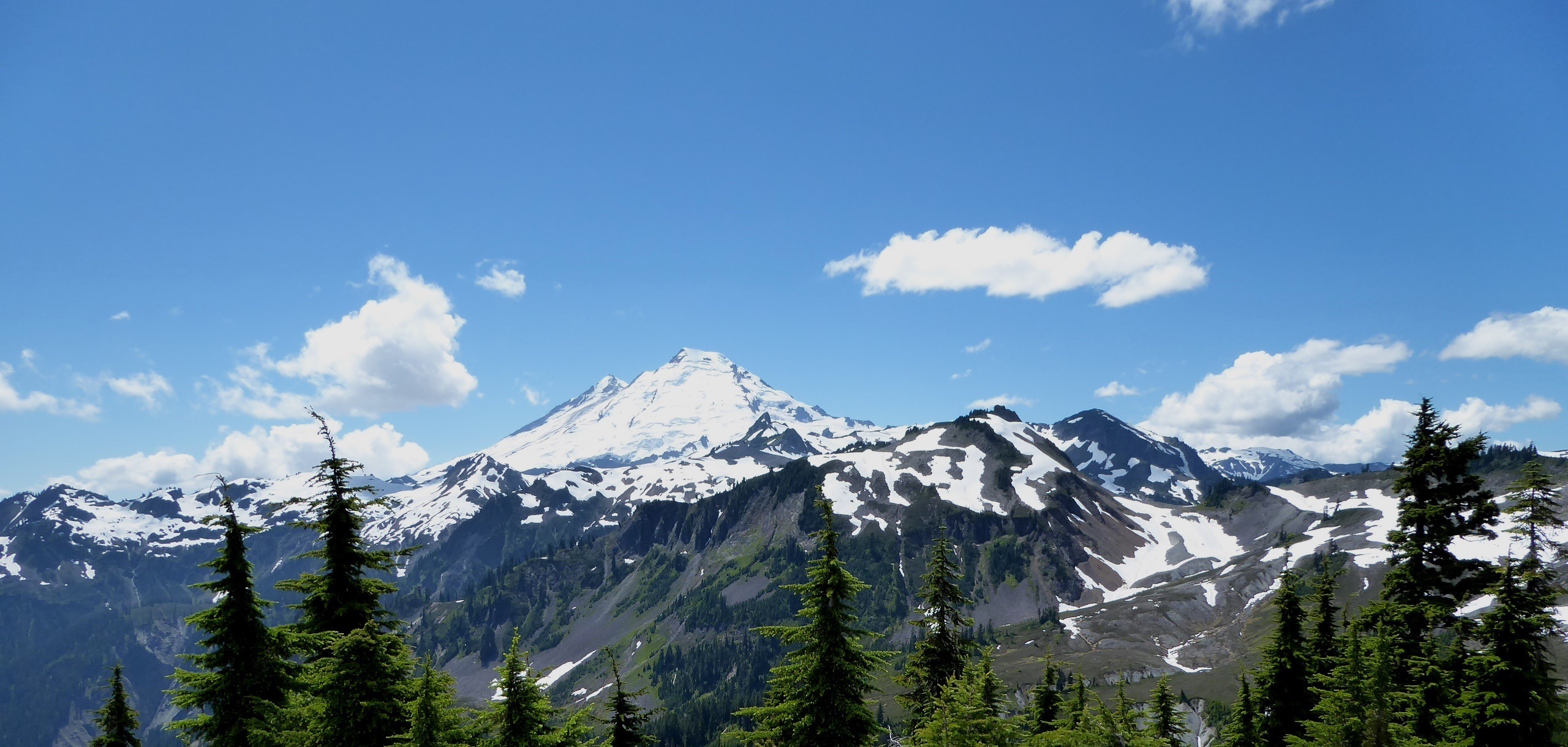 mount baker day tour wilderness artist point