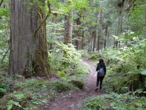 washington nature hiking tours north cascades 