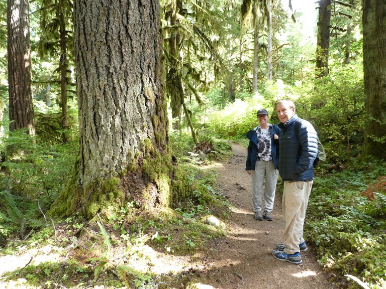 north cascades guided hike