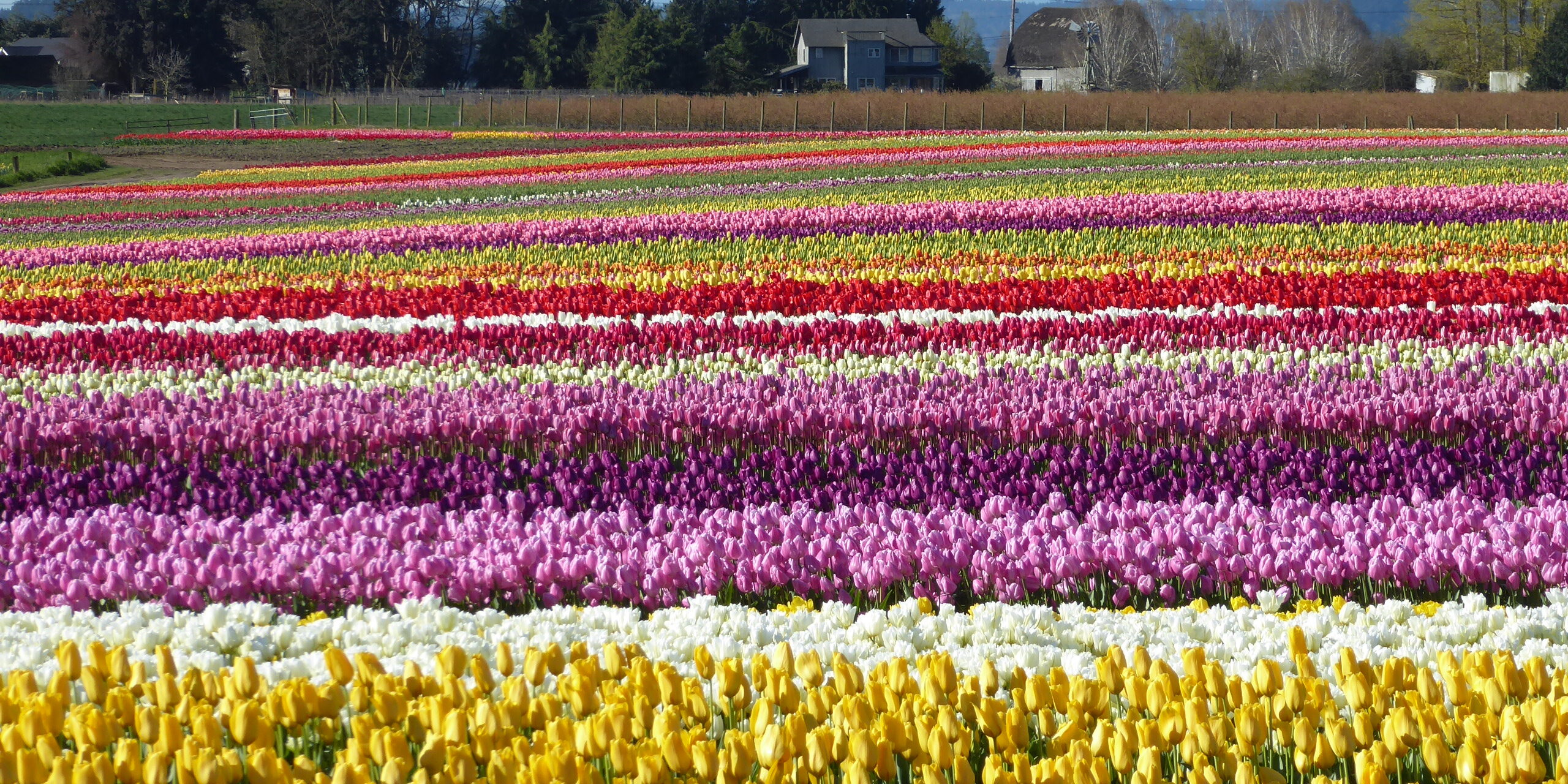 Skagit guided adventures