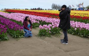 skagit valley tulip tour photography mount vernon washington