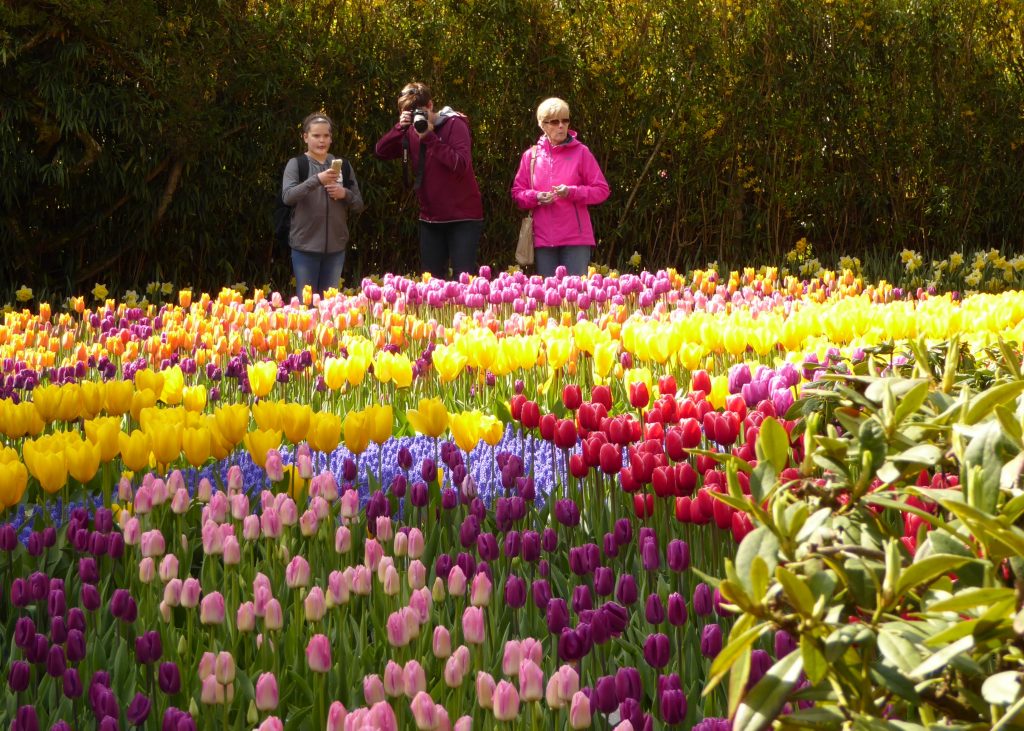 skagit valley tulip tour multigeneration family group