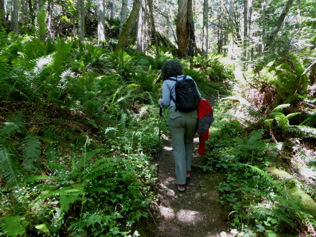 north cascades guided hikes small group adventures