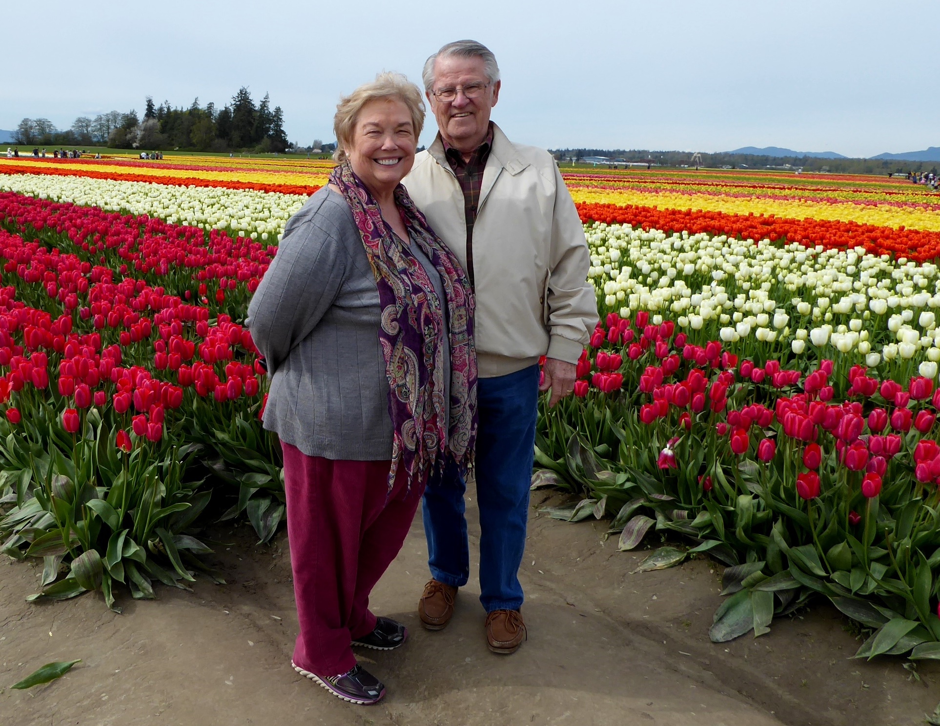 SKAGIT VALLEY TULIP TOUR - April, very small groups.