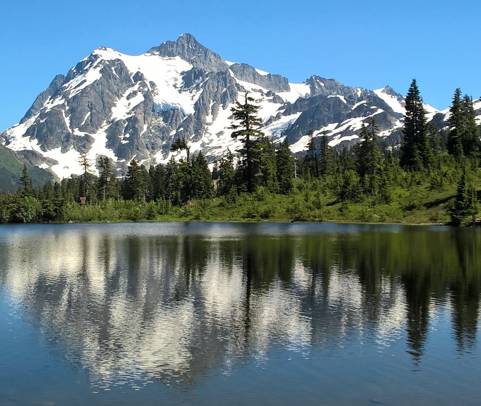 Mount Baker Day Tour Venture to the top of the North Cascades!