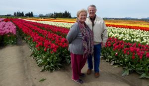 skagit valley tulip tour tulip town fields