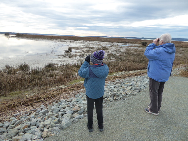 skagit birding eco tour multigenerational adventures