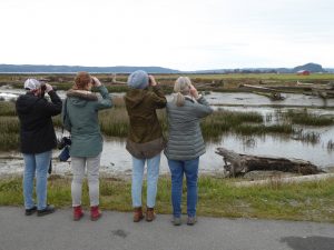 skagit birding tours