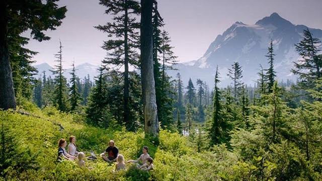 mount baker day tour captain fantastic movie scene