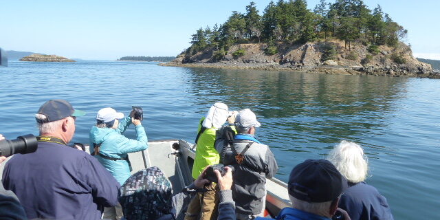 san juan islands birding cruises hiking sightseeing