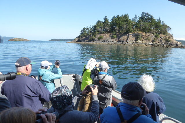 san juan islands birding cruises hiking sightseeing