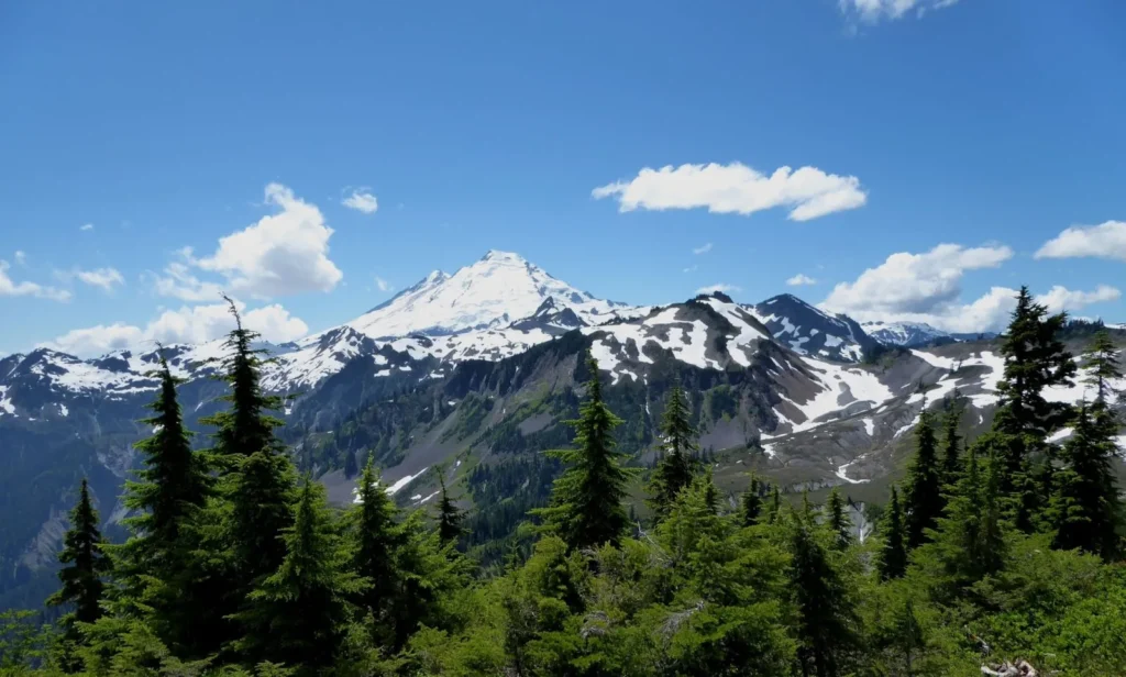 Snow-covered Mount Baker rising above evergreen forests in the North Cascades of Washington State.